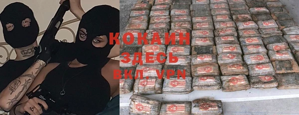 ПСИЛОЦИБИНОВЫЕ ГРИБЫ Алзамай